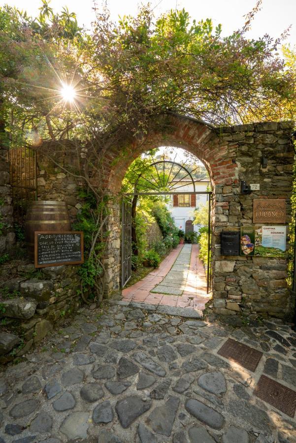 Agriturismo Buranco Villa Monterosso al Mare Buitenkant foto